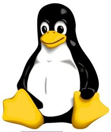 Linux Pinguin | Free Redistribution by Larry Ewing